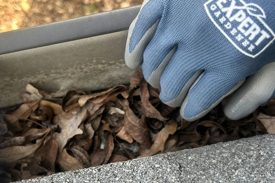 Gutter Cleaning Arlington VA