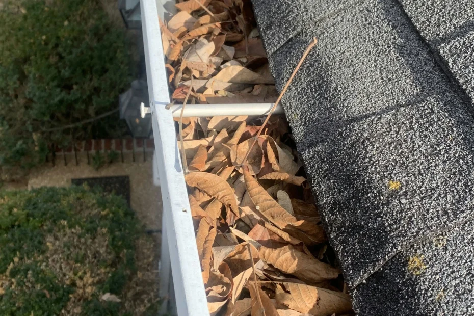 Gutter Cleaning Arlington VA