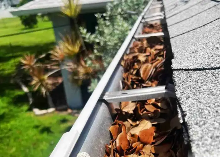 Gutter Cleaning Arlington VA home page